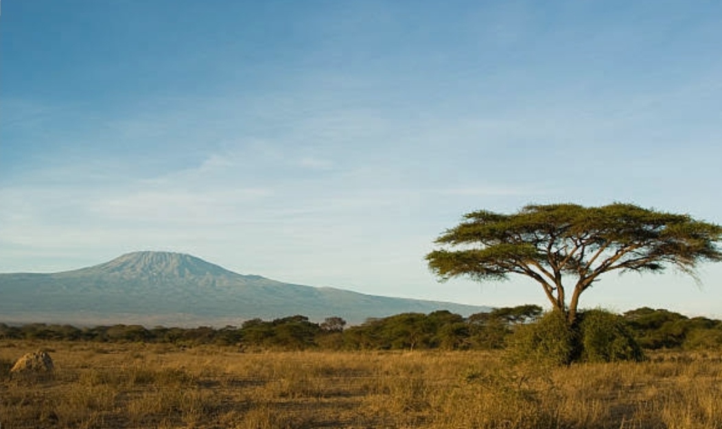Building Climate Resilience in Africa's Grasslands: A Vital Step for Food Security  