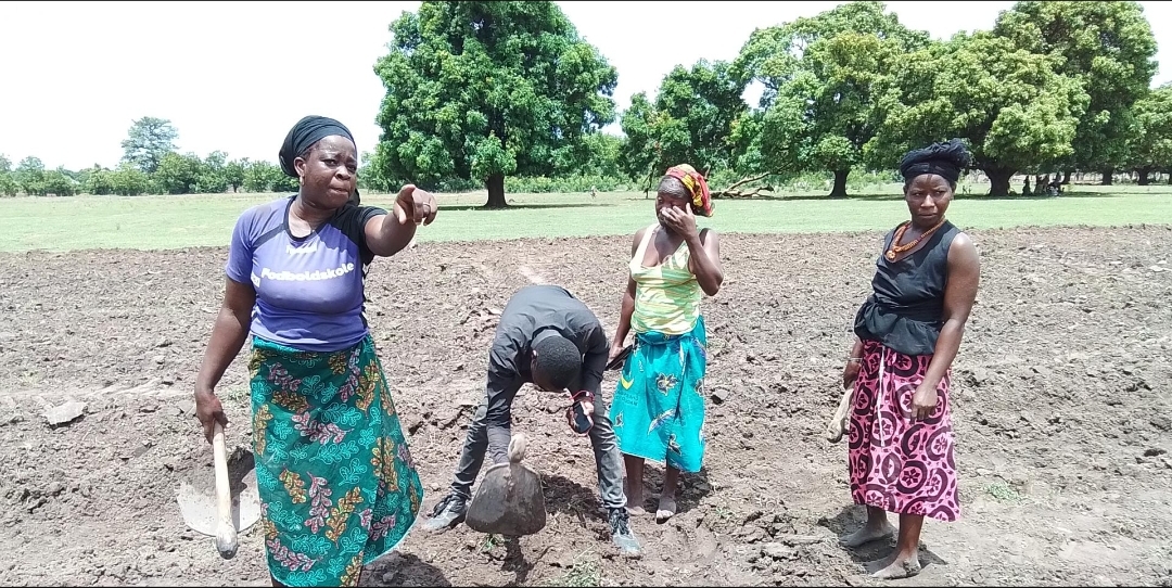 Smart Valleys Water Management Boosts Rice Production in Mali