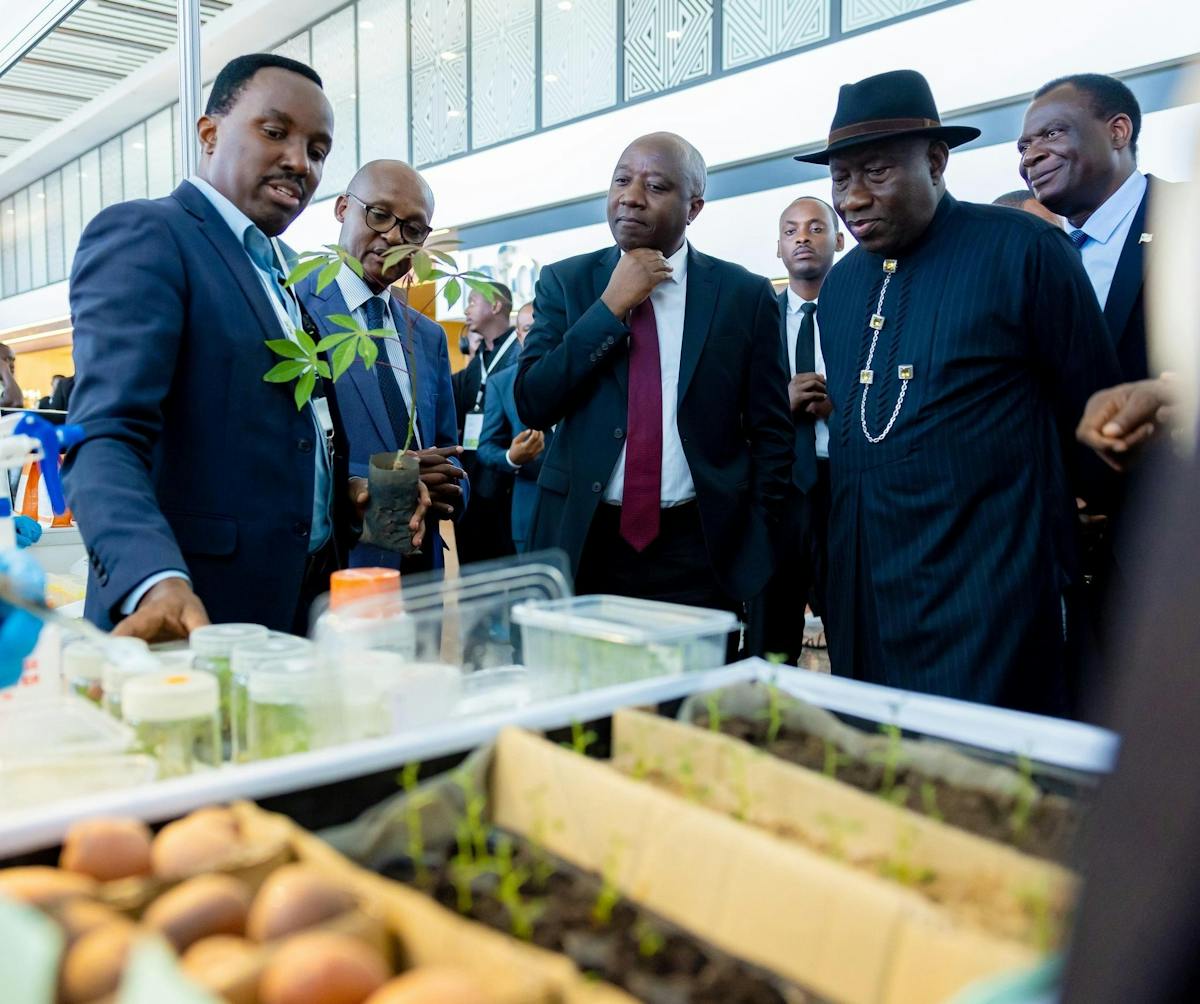 Centering Smallholder Farmers in Agricultural Innovation Ecosystems: Evidence-Based Policy Imperatives