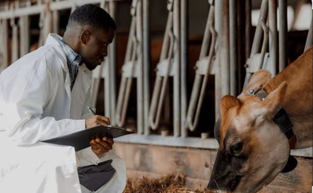 Agricultural Consulting Services