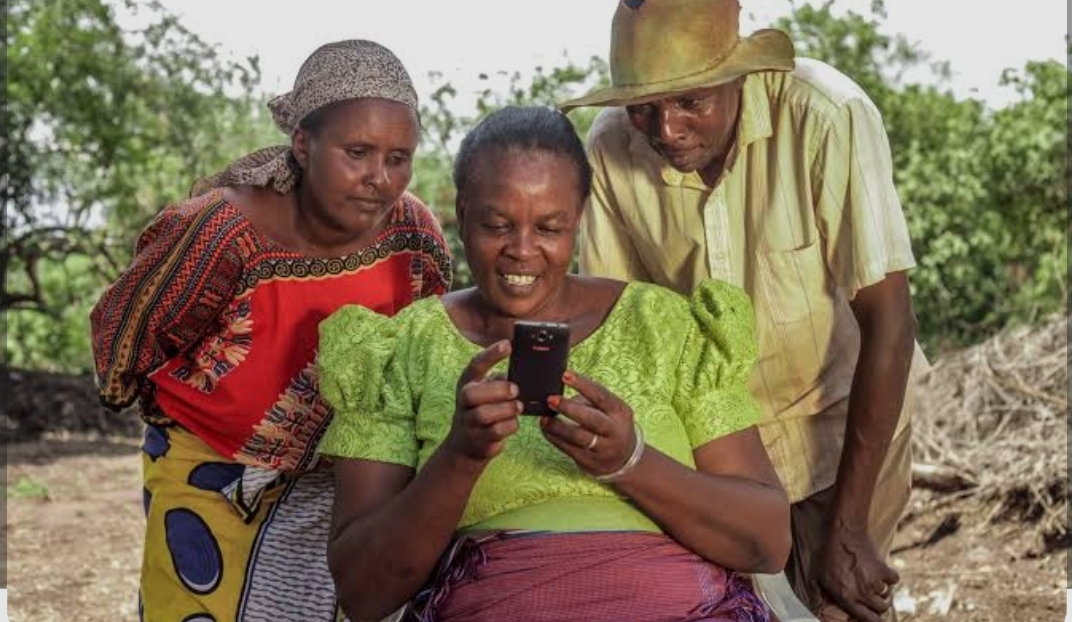 We offer Data-Driven Agricultural Services