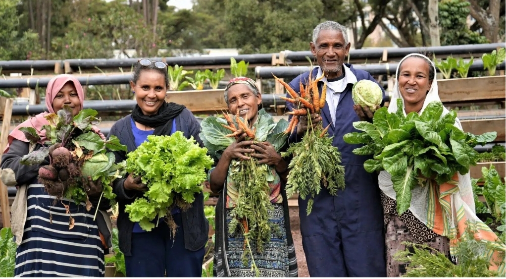 African-Led Agricultural Sciences: A Path to Food Sovereignty in Africa