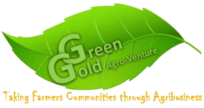 Bourse de Recherche GreenGold AgroVenture 2026 - Master en Conservation et amélioration des plantes indigènes